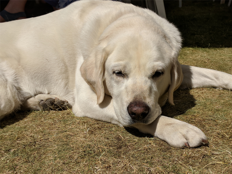 President's At Home - June 2018