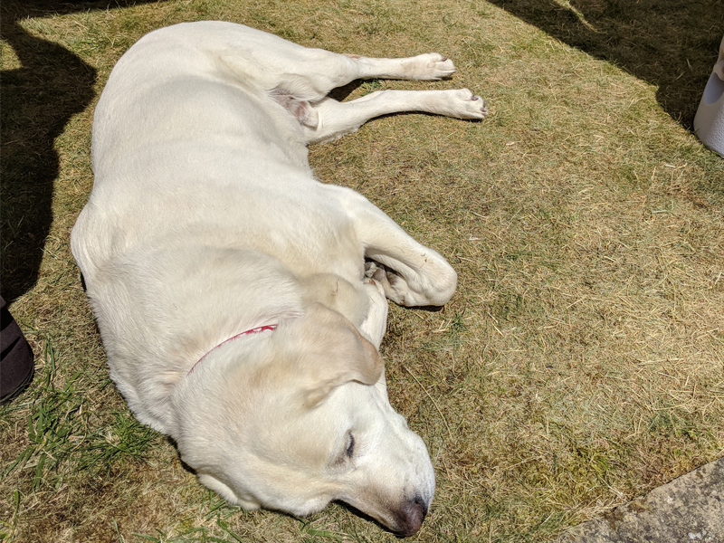 President's At Home - June 2018