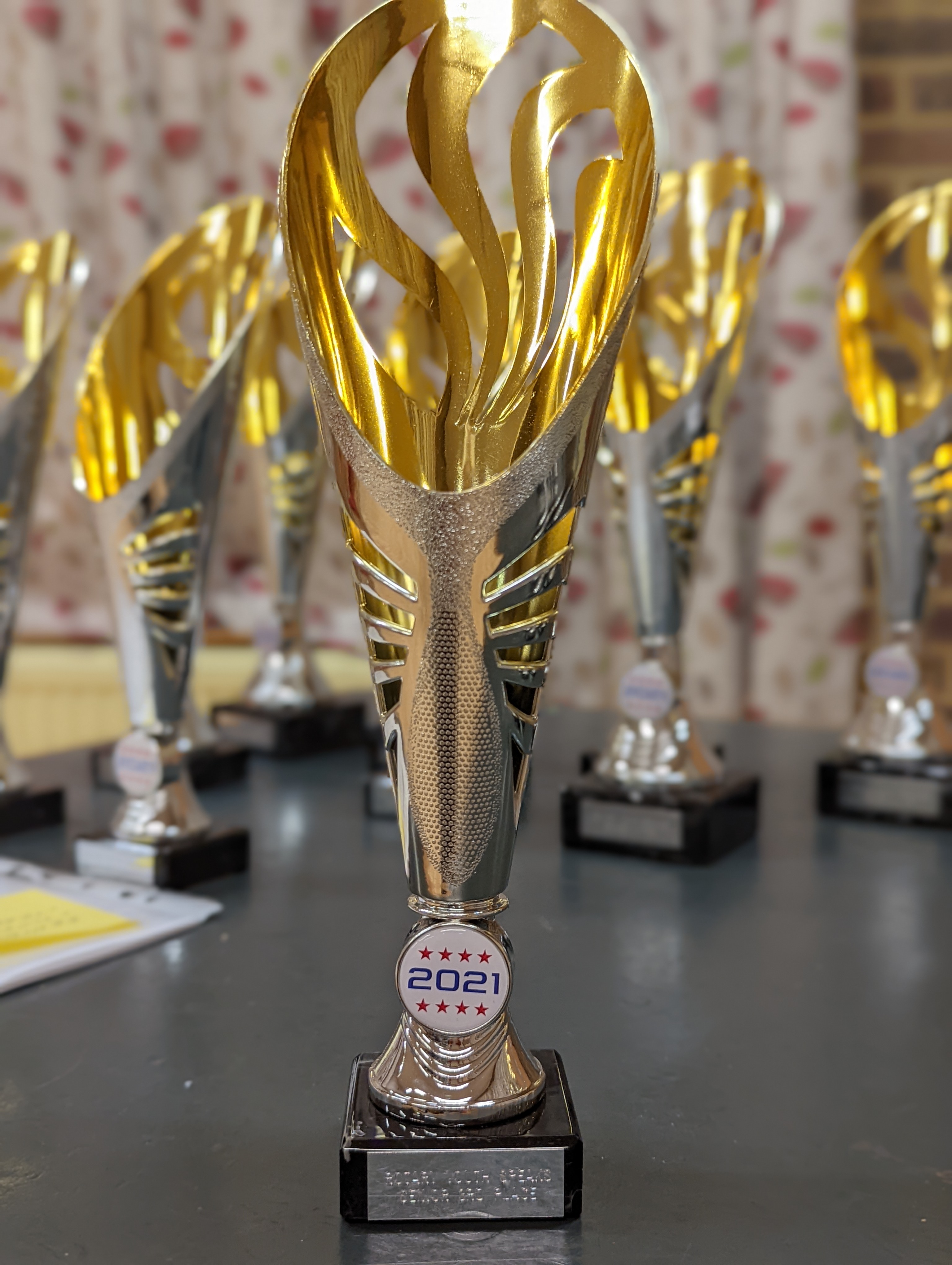 Rotary Youth Speaks - 2021